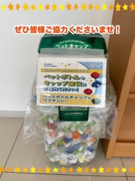 【SDGs】ペットボトルキャップ回収が始まります！